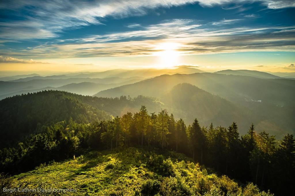 Schwarzwald-Traum Mit Pool Und Sauna Unterkirnach Kültér fotó