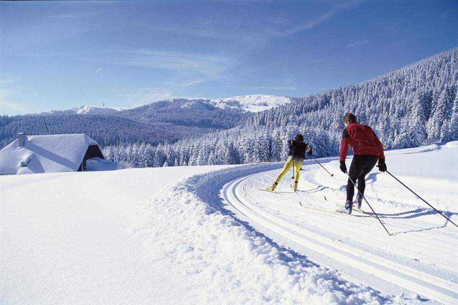 Schwarzwald-Traum Mit Pool Und Sauna Unterkirnach Kültér fotó
