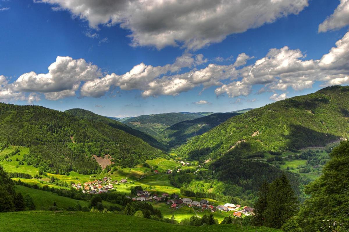 Schwarzwald-Traum Mit Pool Und Sauna Unterkirnach Kültér fotó
