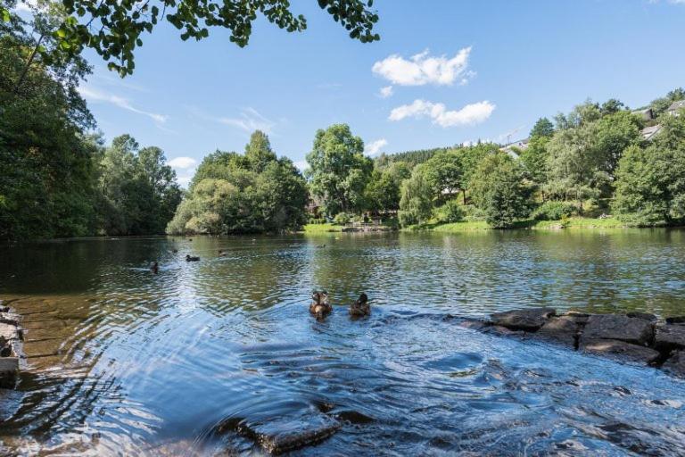 Schwarzwald-Traum Mit Pool Und Sauna Unterkirnach Kültér fotó